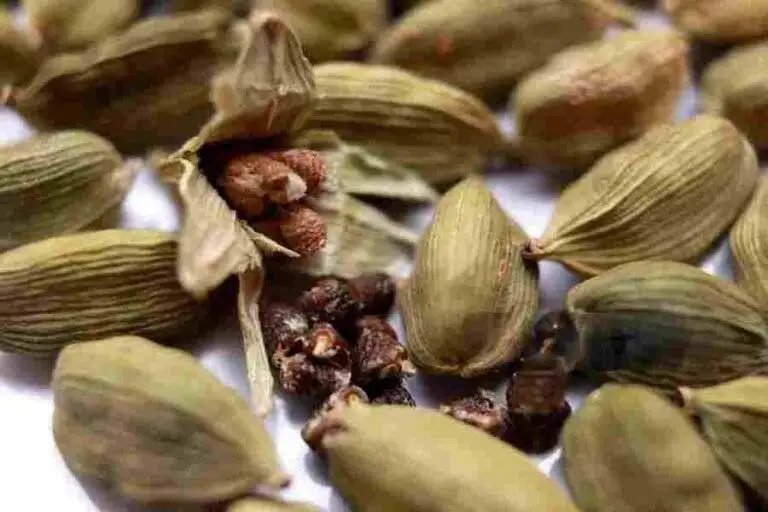 Cardamom seeds