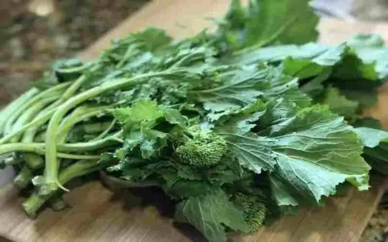 Saag green