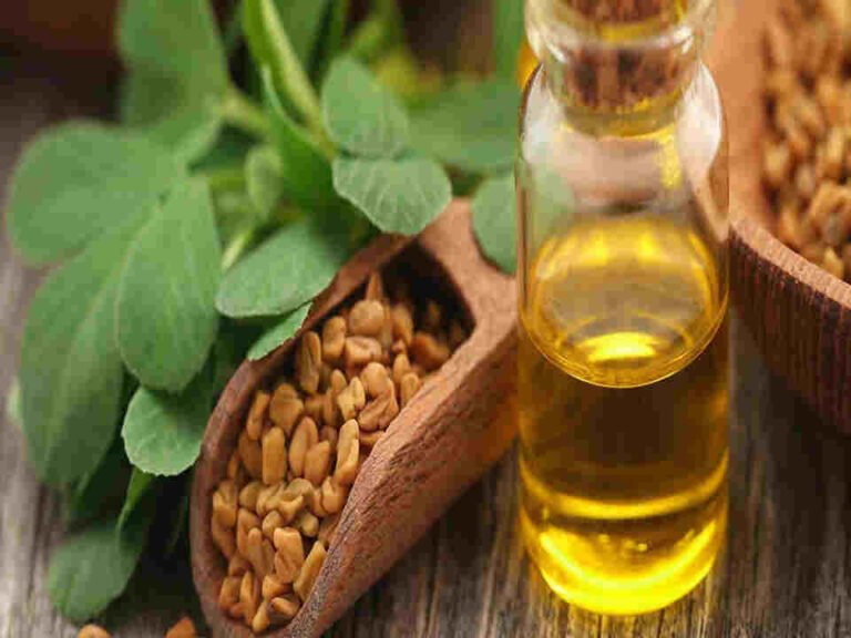 fenugreek oil