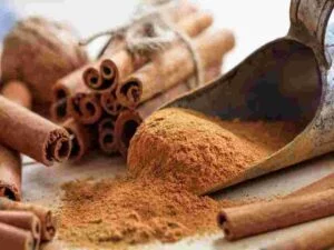Does Cinnamon Repel Bugs