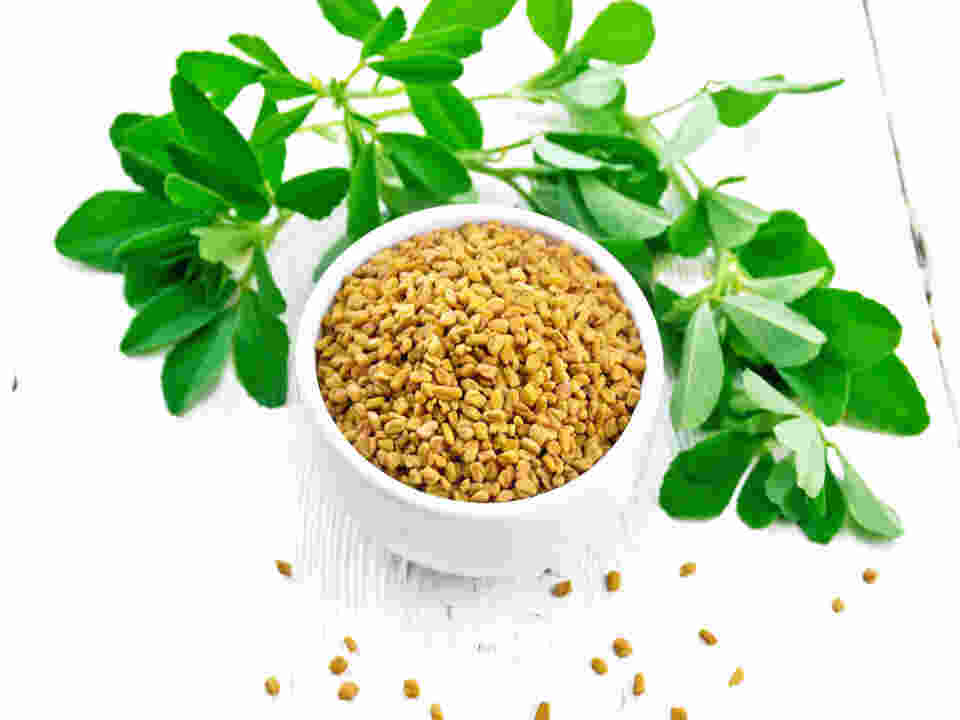 fenugreek leaves