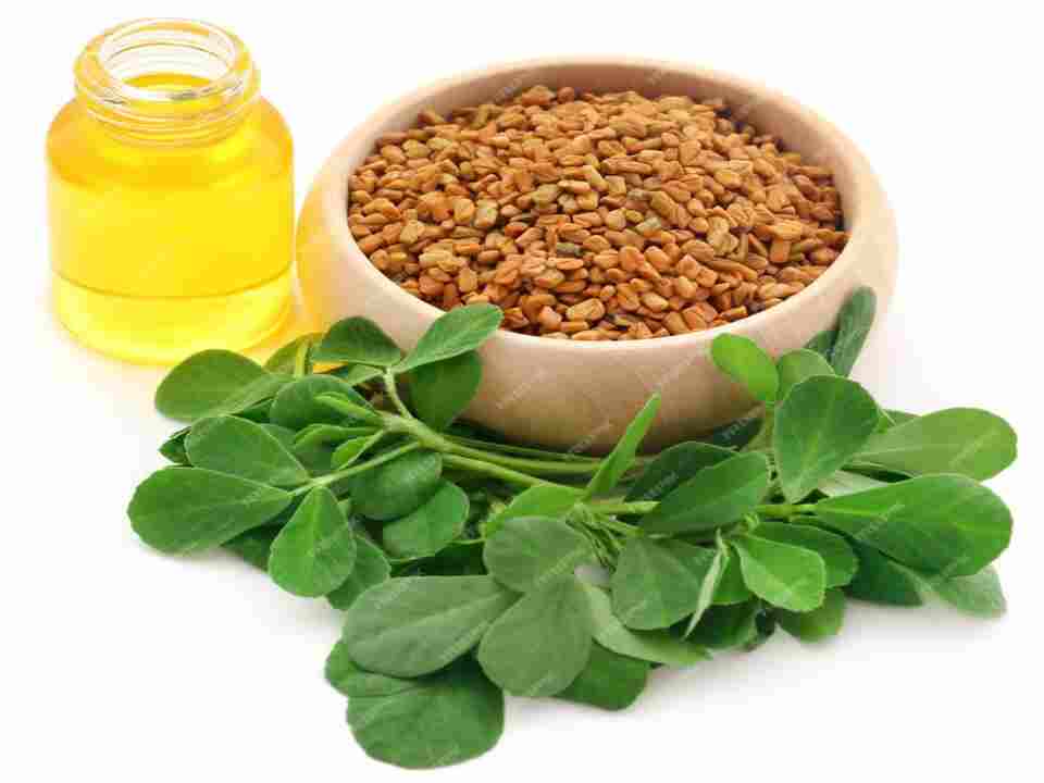 fenugreek leaves