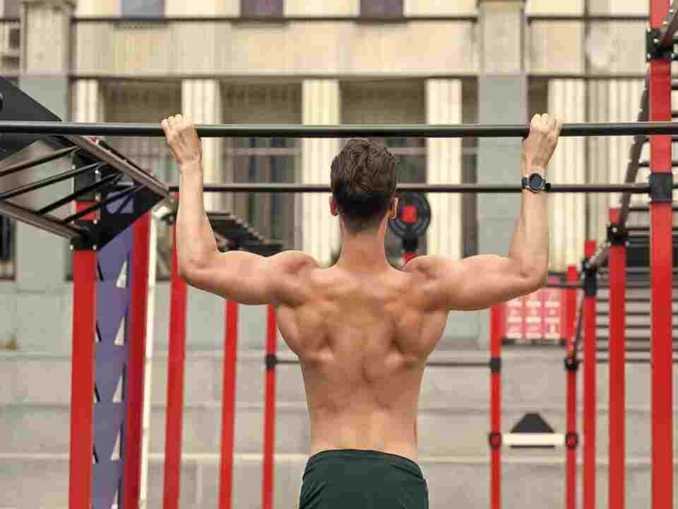 Rear Delt Exercises