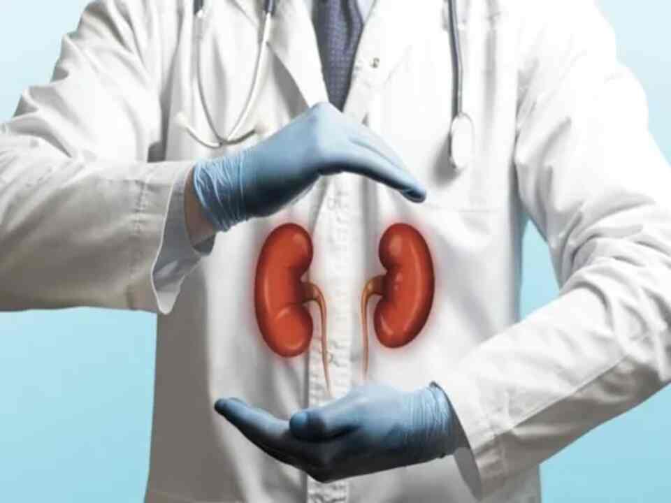 Icd 10 Code For Renal Transplant