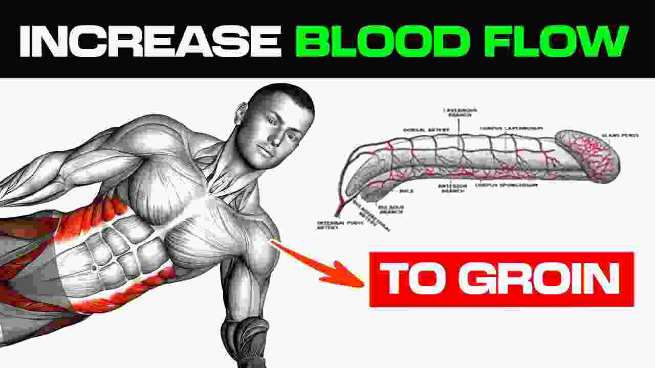 how to increase blood flow to groin