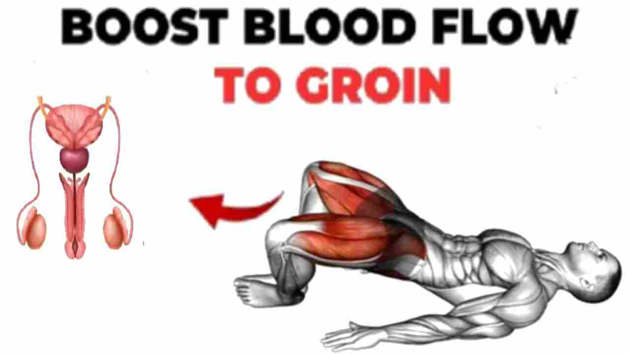 how to increase blood flow to groin